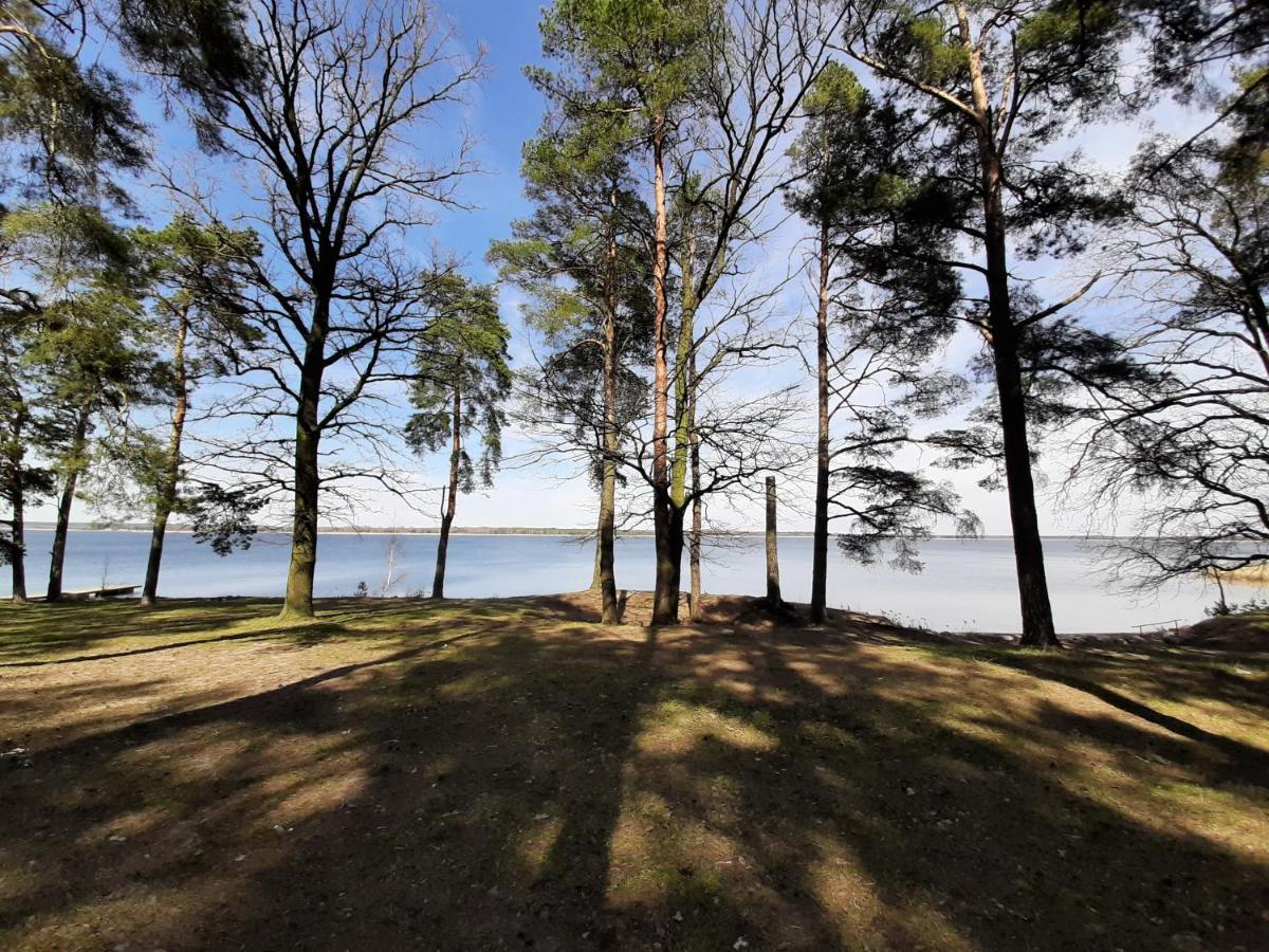 Zubr Nad Zalewem Apartment Luka Екстериор снимка