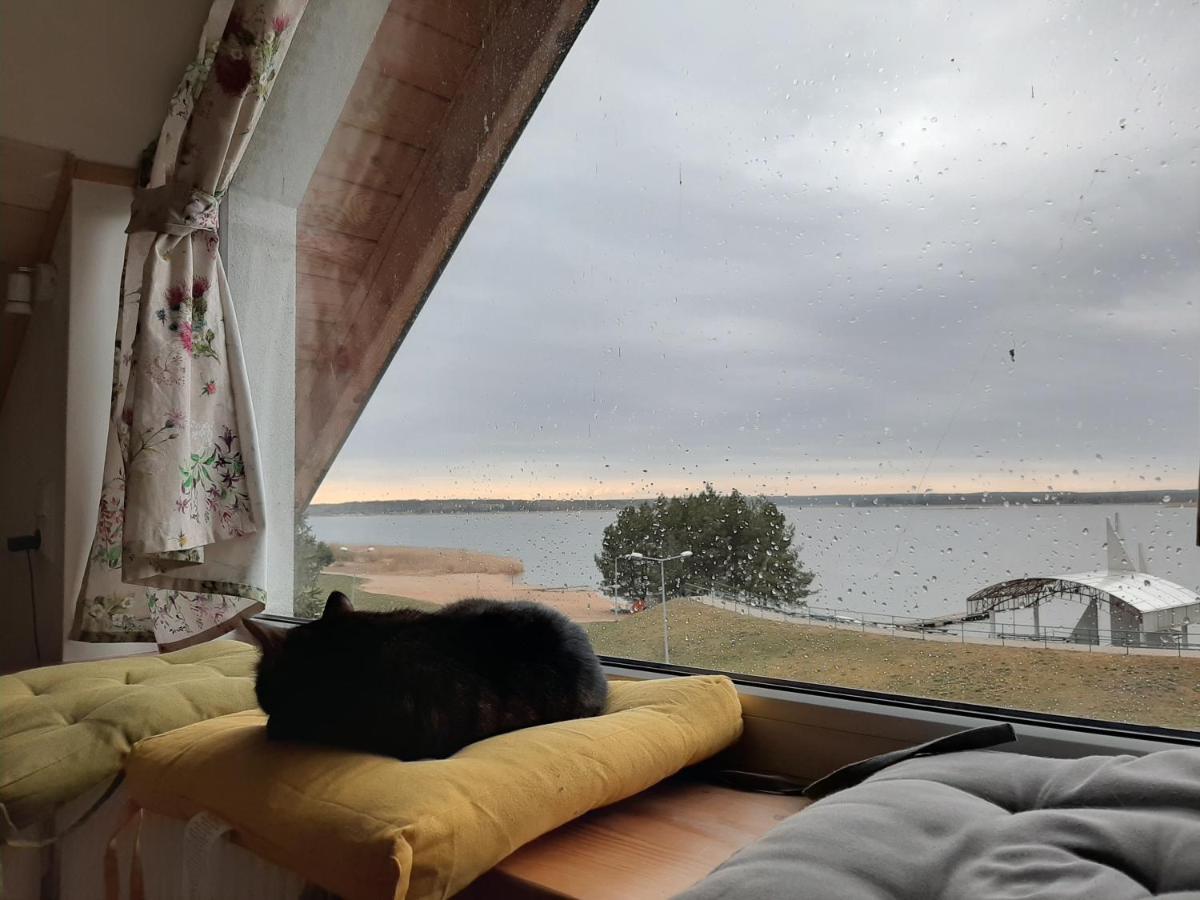 Zubr Nad Zalewem Apartment Luka Екстериор снимка