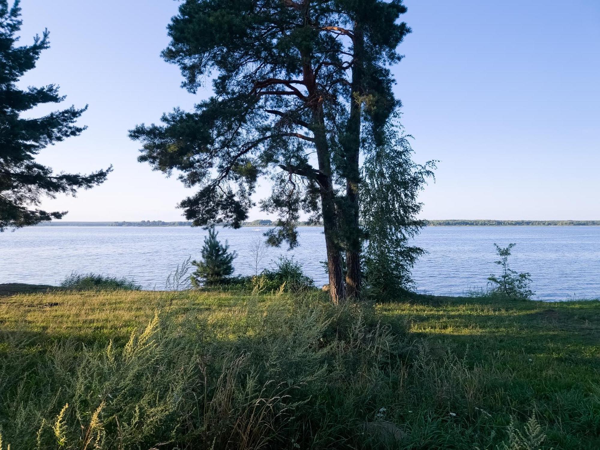 Zubr Nad Zalewem Apartment Luka Екстериор снимка